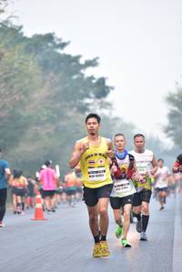 BIB: 45955
                            <button type="button" onclick="openModal(10129995)" class="btn btn-primary btn-sm float-right btn-popup" data-toggle="modal" data-target=".modal-high-quality">
                        <i class="fas fa-shopping-cart"></i> Add to Cart
                    </button>
                                            <button type="button" onclick="isThisMe(10129995, true)" class="btn btn-success btn-sm float-right btn-popup btn-isme hidden" data-toggle="tooltip" data-placement="bottom" title="นี่คือรูปของคุณใช่ไหม คลิกที่นี่เพื่อเอาเข้าอัลบั้ม">
                        <i class="fas fa-plus"></i> Add to album
                    </button>
                    <button type="button" onclick="isThisMe(10129995, false)" class="btn btn-warning btn-sm float-right btn-popup btn-isnotme hidden">
                        <i class="fas fa-ban"></i> Remove from album
                    </button>